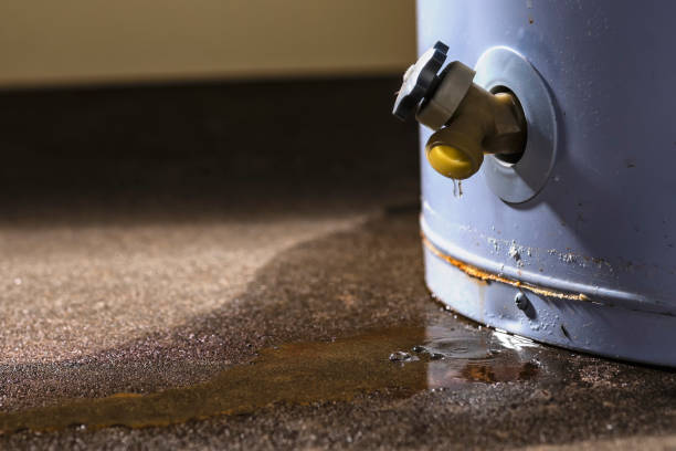 Best Water damage restoration near me  in Shakopee, MN