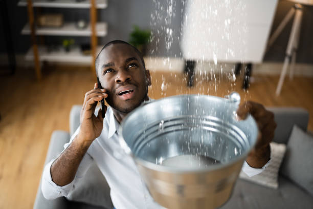 Best Local water damage restoration  in Shakopee, MN