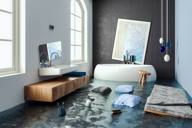 Best Residential water damage restoration  in Shakopee, MN