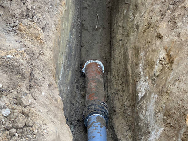 Best Professional water damage repair  in Shakopee, MN