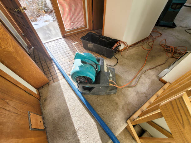 Best Water damage restoration insurance claims  in Shakopee, MN