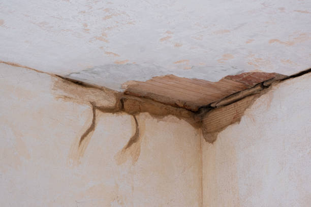 Best Flood damage cleanup  in Shakopee, MN