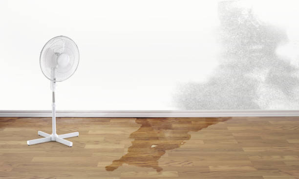 Best 24/7 water damage repair  in Shakopee, MN