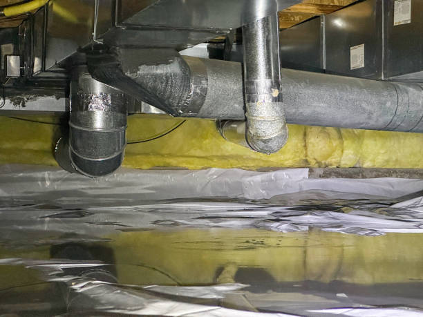 Best Carpet water damage restoration  in Shakopee, MN