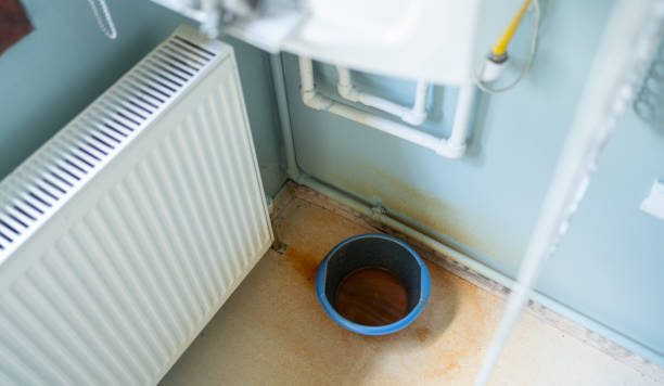 Best Local water damage restoration  in Shakopee, MN