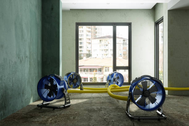 Best Mold removal after water damage  in Shakopee, MN